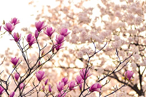 企業(yè)員工福利方案設(shè)計(jì)的原則和落實(shí)要點(diǎn)