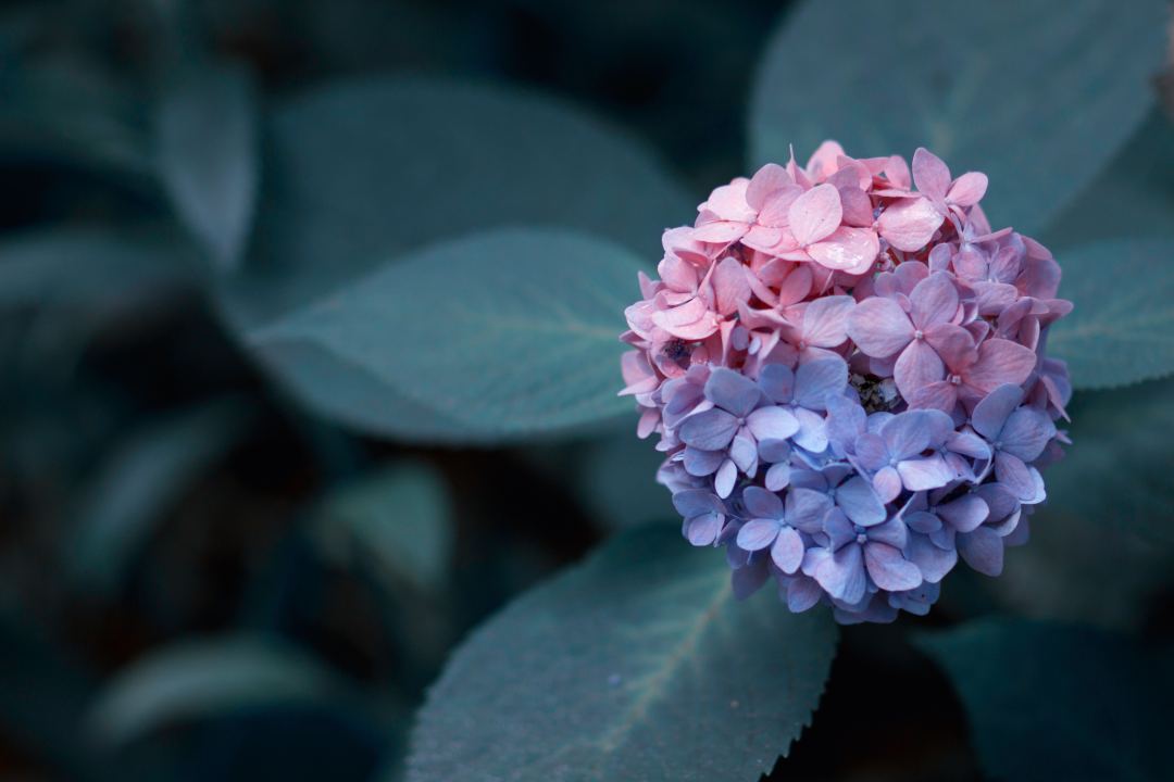 員工福利平臺(tái)：職業(yè)健康體檢要花費(fèi)多少錢(qián)？